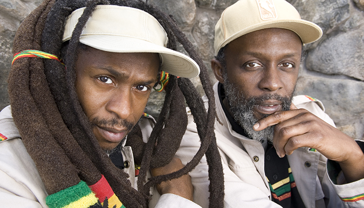 steel pulse